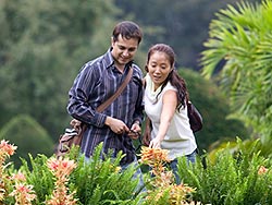 Couple visiting botanical gardens on their honeymoon